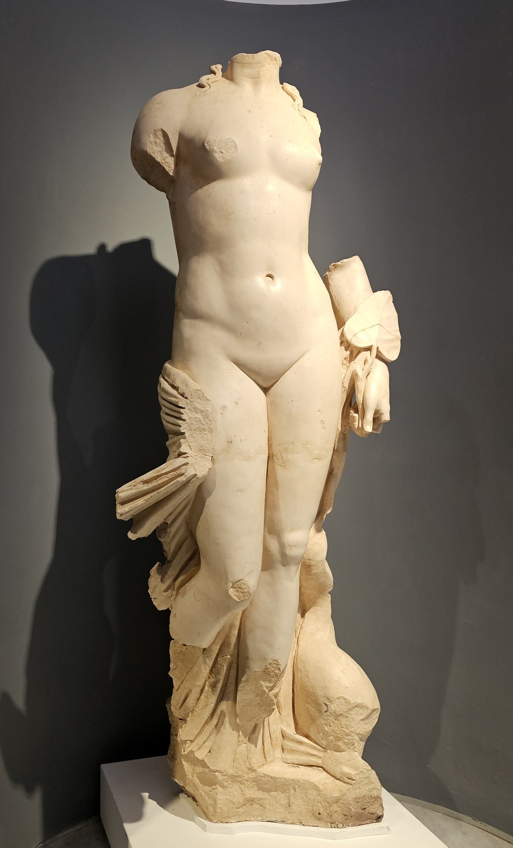 Italica